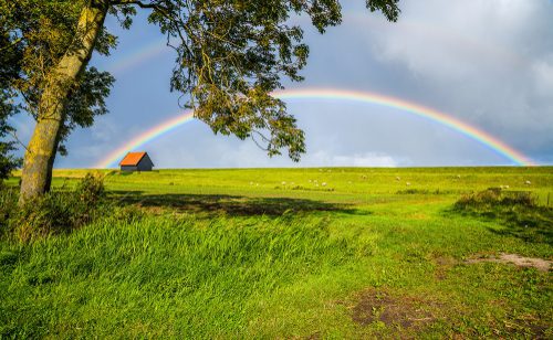 Rainbows