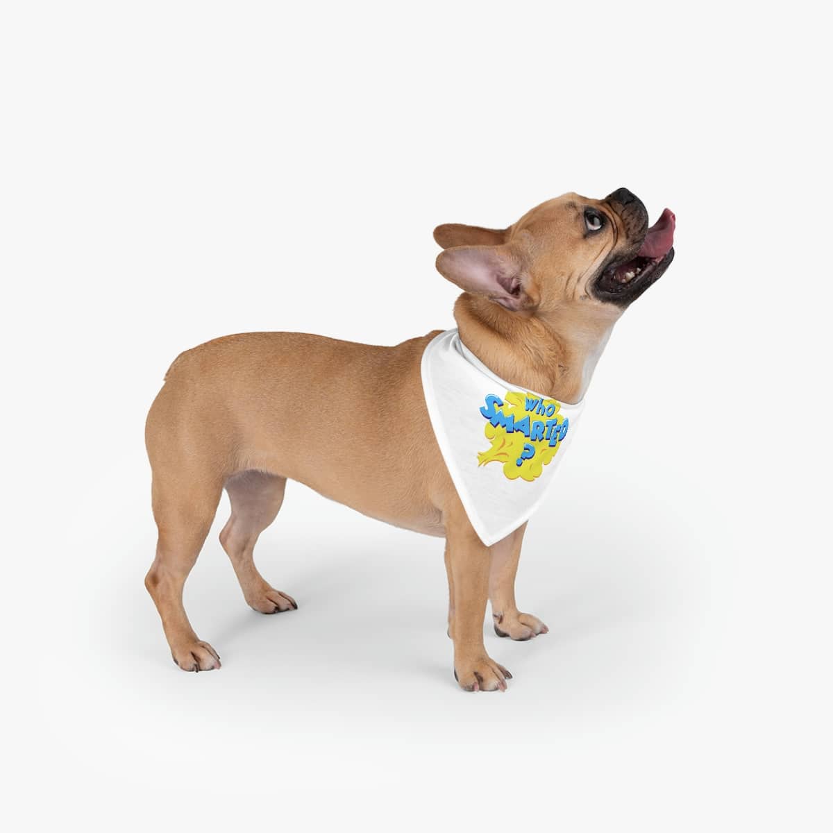 Bandana for You or Rover