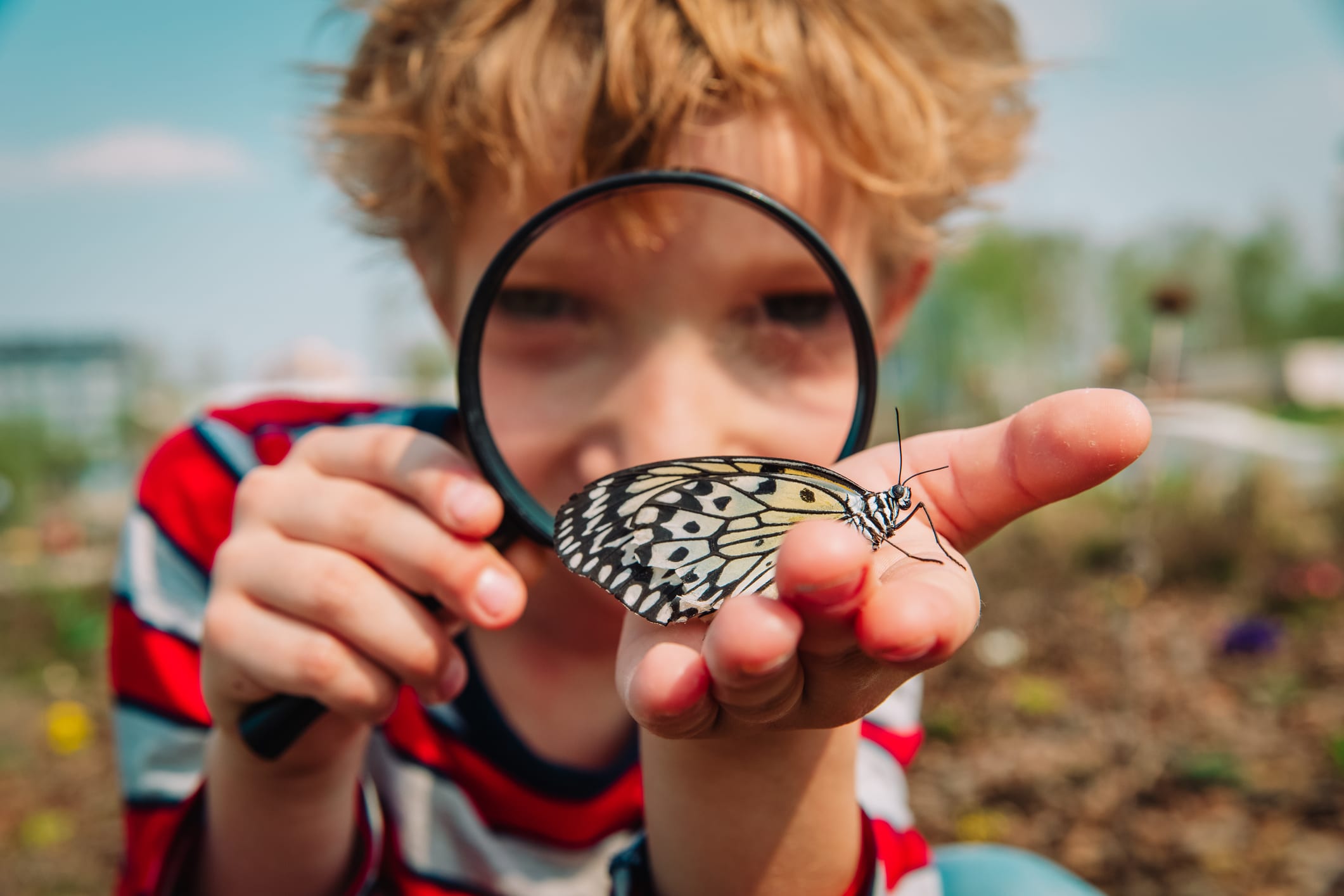 Boy looking at a butterfly through a magnifying glass